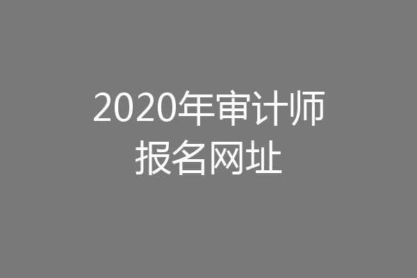 2020年审计师报名网址