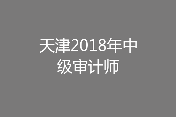 天津2018年中级审计师