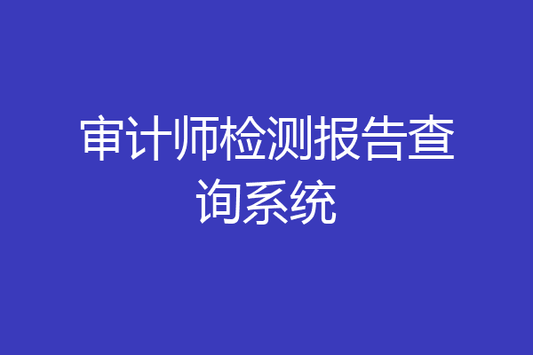 审计师检测报告查询系统