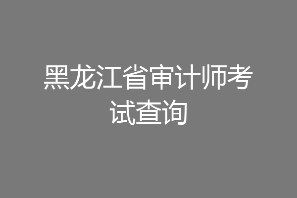 黑龙江省审计师考试查询