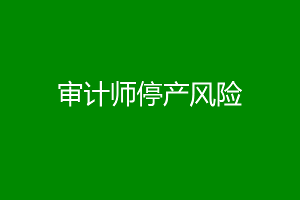 审计师停产风险