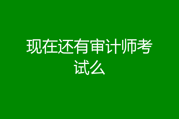 现在还有审计师考试么