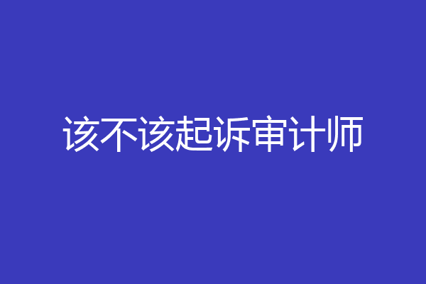 该不该起诉审计师