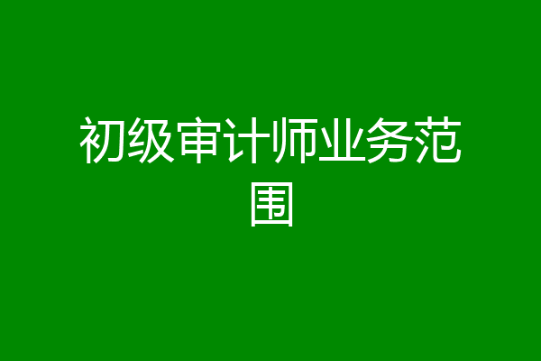 初级审计师业务范围