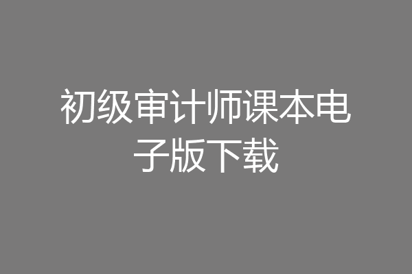 初级审计师课本电子版下载