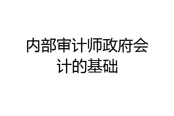 内部审计师政府会计的基础