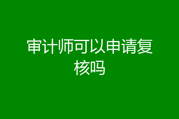 审计师可以申请复核吗