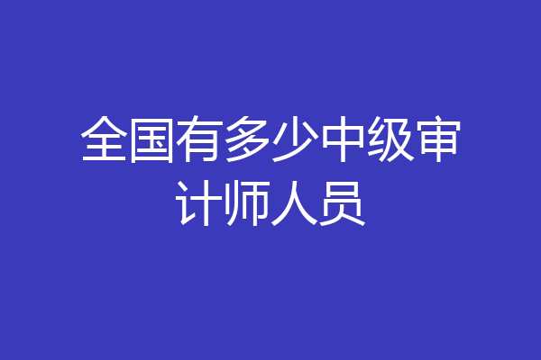 全国有多少中级审计师人员