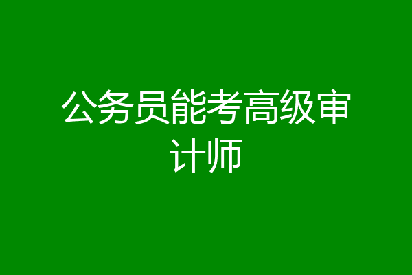 公务员能考高级审计师