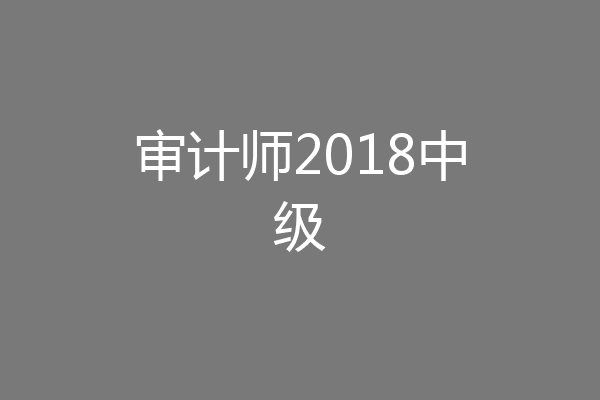 审计师2018中级