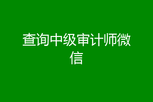查询中级审计师微信