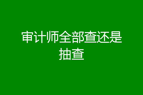 审计师全部查还是抽查