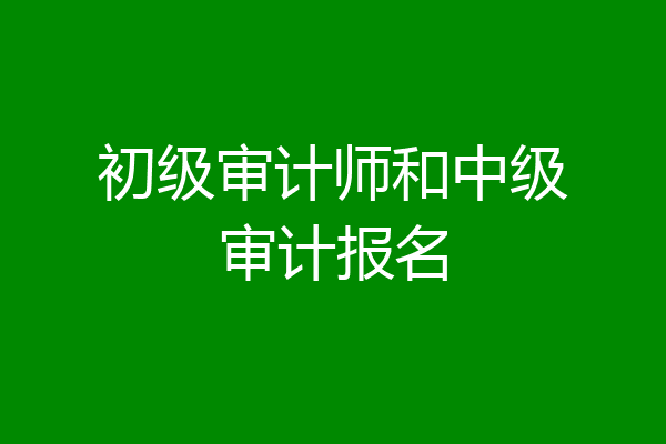 初级审计师和中级审计报名