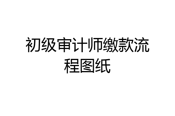 初级审计师缴款流程图纸