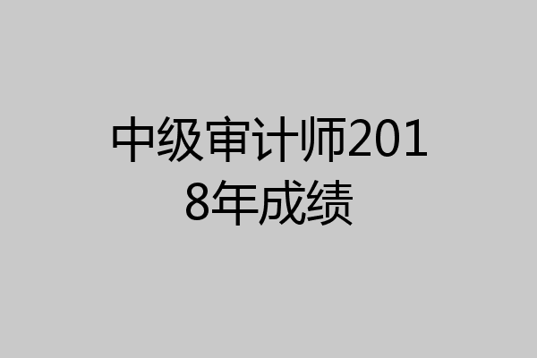 中级审计师2018年成绩