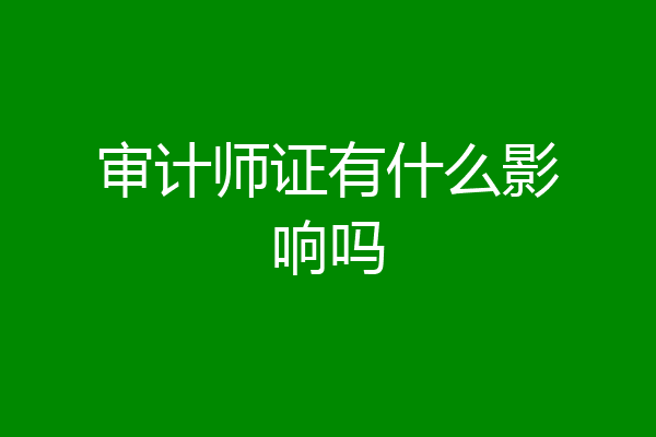审计师证有什么影响吗