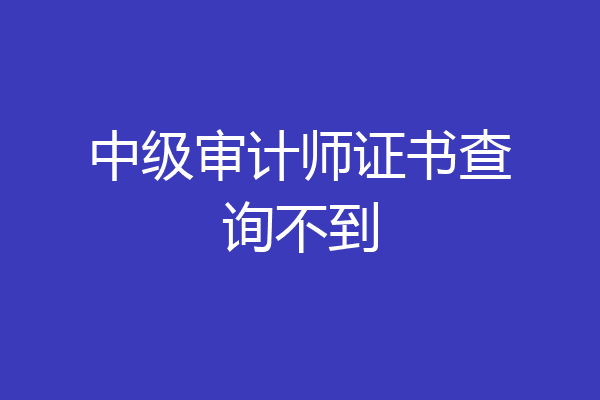 中级审计师证书查询不到