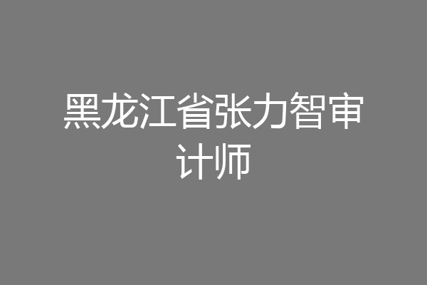 黑龙江省张力智审计师