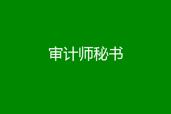 审计师秘书