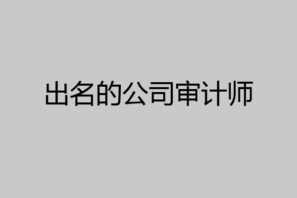 出名的公司审计师