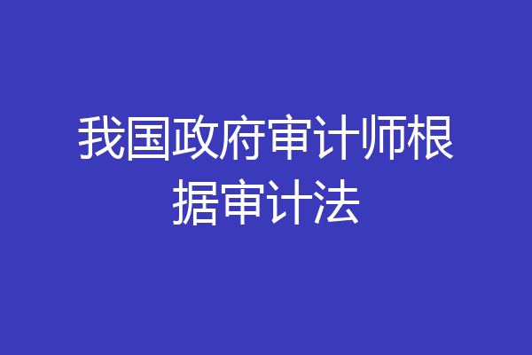 我国政府审计师根据审计法