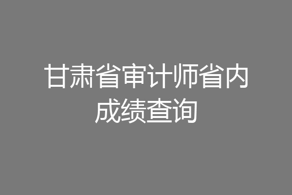 甘肃省审计师省内成绩查询