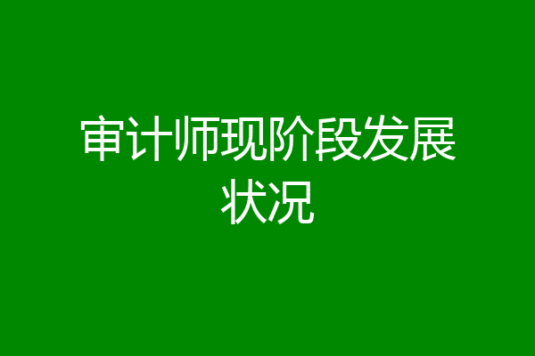 审计师现阶段发展状况