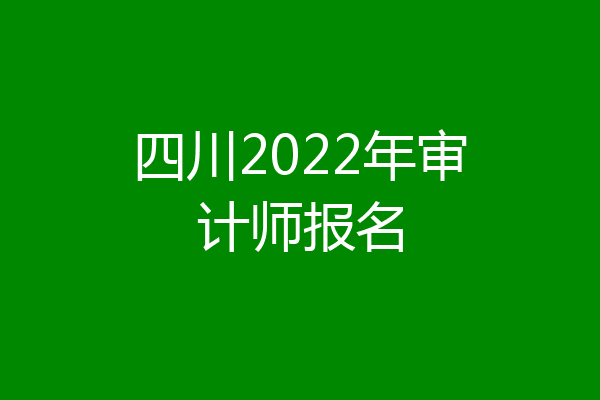 四川2022年审计师报名