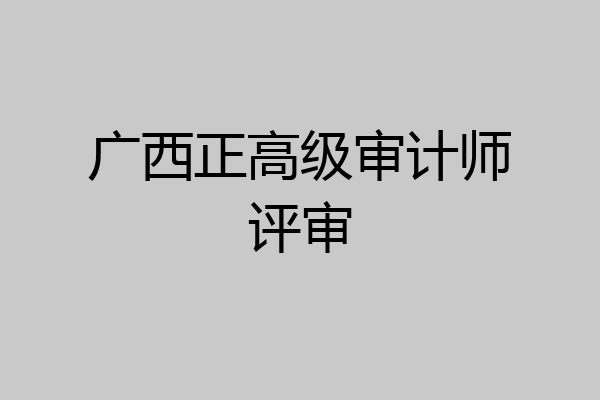 广西正高级审计师评审