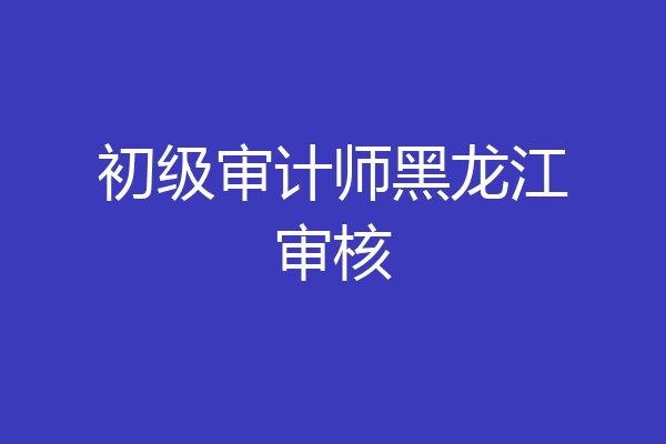 初级审计师黑龙江审核