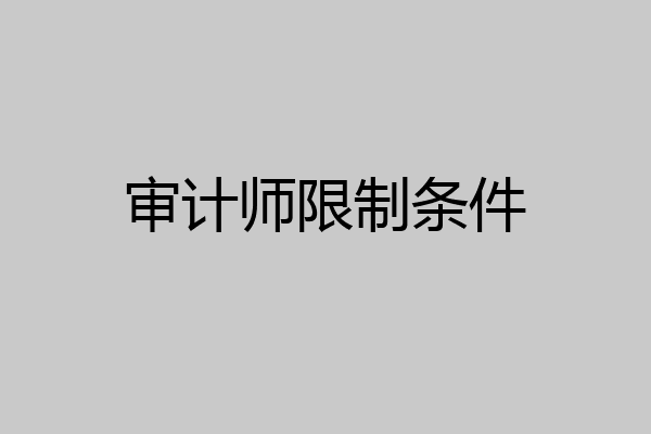 审计师限制条件