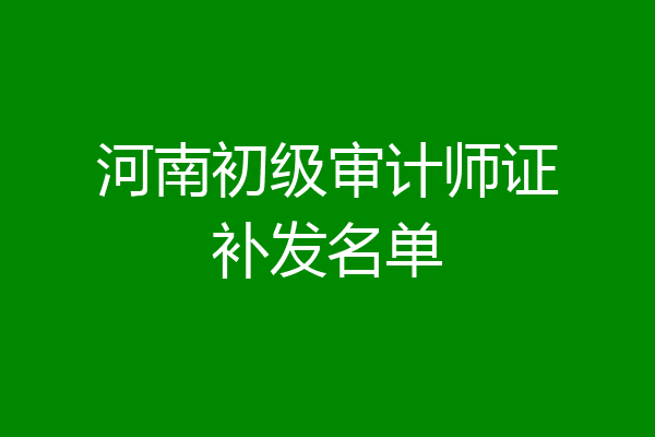 河南初级审计师证补发名单