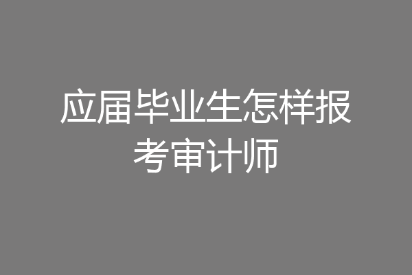 应届毕业生怎样报考审计师