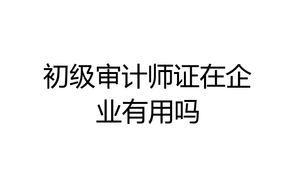 初级审计师证在企业有用吗