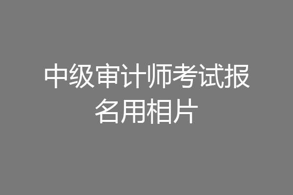 中级审计师考试报名用相片