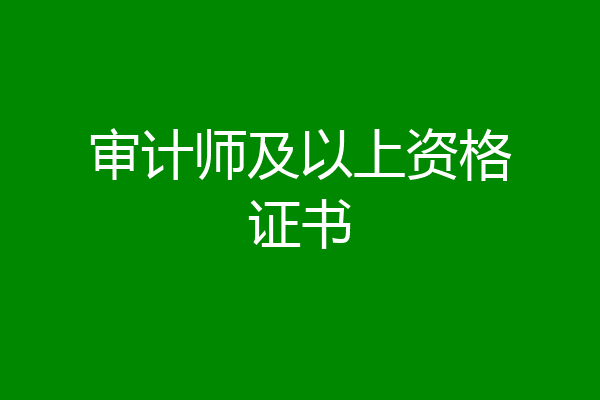 审计师及以上资格证书