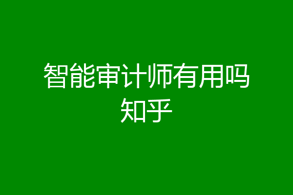 智能审计师有用吗知乎