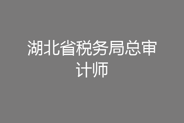 湖北省税务局总审计师