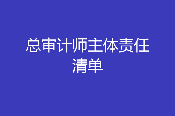 总审计师主体责任清单