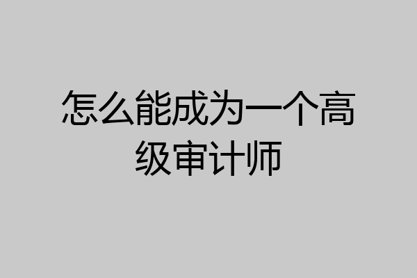 怎么能成为一个高级审计师