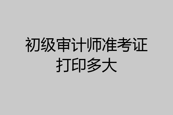 初级审计师准考证打印多大