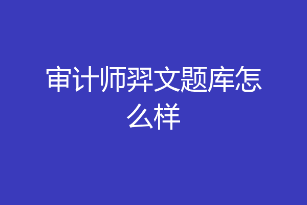 审计师羿文题库怎么样
