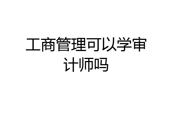 工商管理可以学审计师吗
