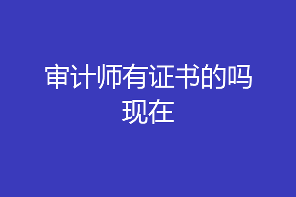 审计师有证书的吗现在
