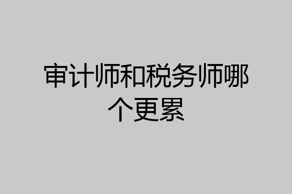 审计师和税务师哪个更累
