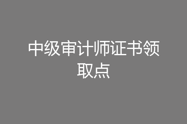 中级审计师证书领取点