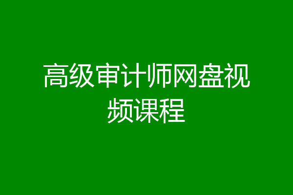 高级审计师网盘视频课程
