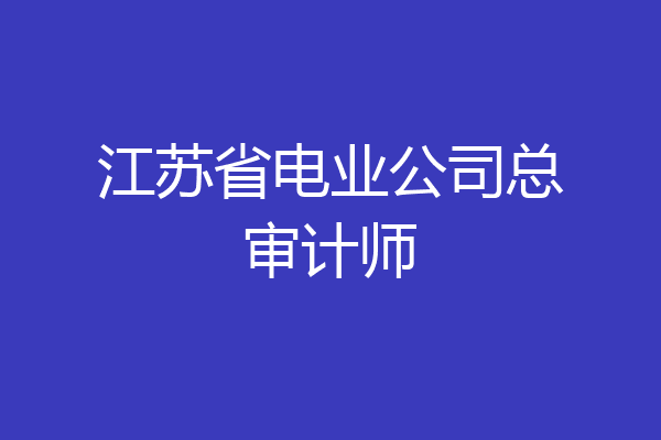 江苏省电业公司总审计师