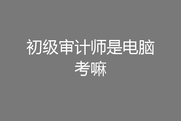 初级审计师是电脑考嘛