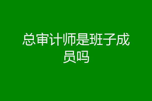 总审计师是班子成员吗